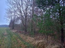Działka rolna Mściszewice Bębny