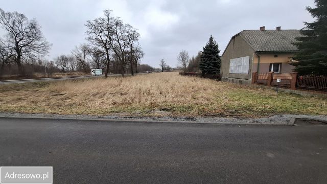 Działka inwestycyjna Broszkowice. Zdjęcie 1