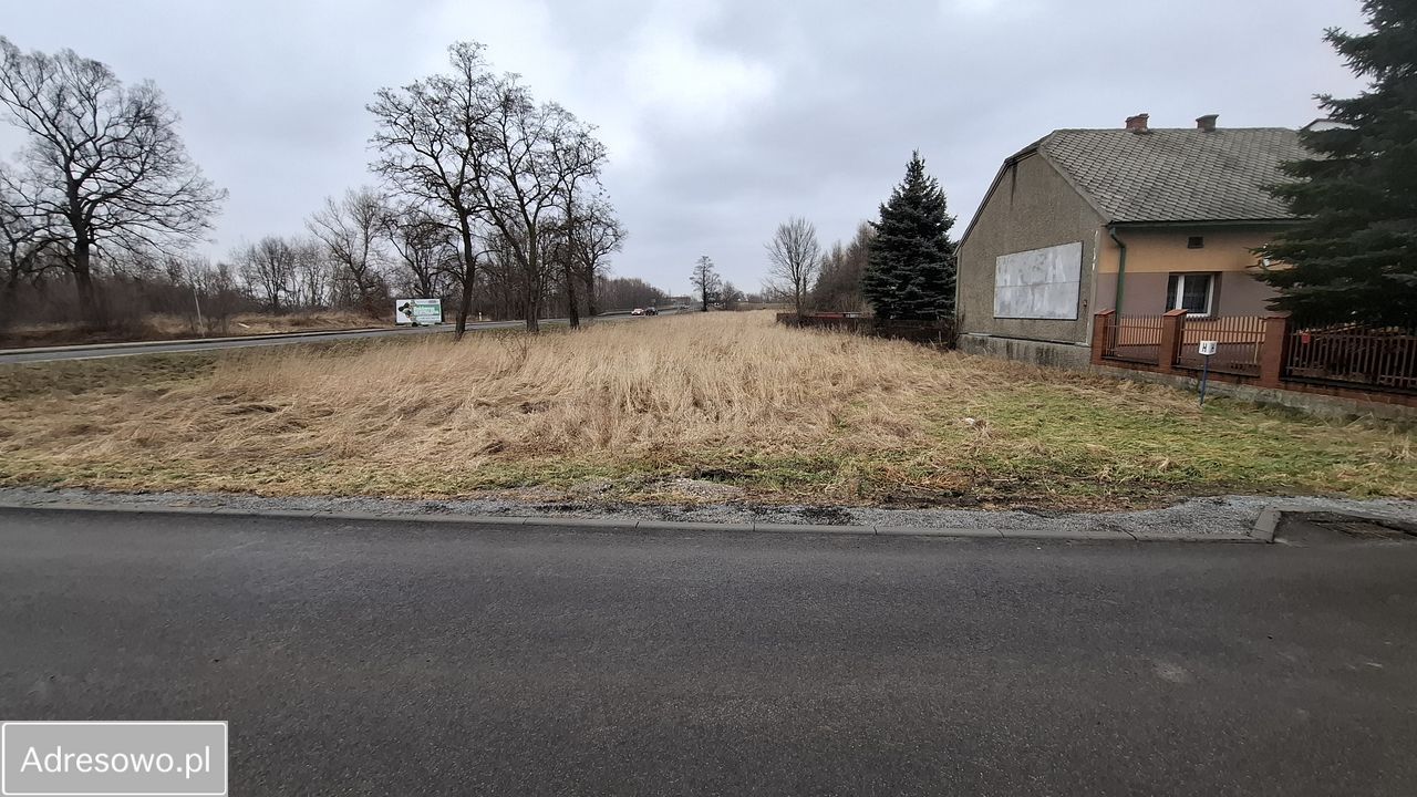 Działka inwestycyjna Broszkowice. Zdjęcie 1