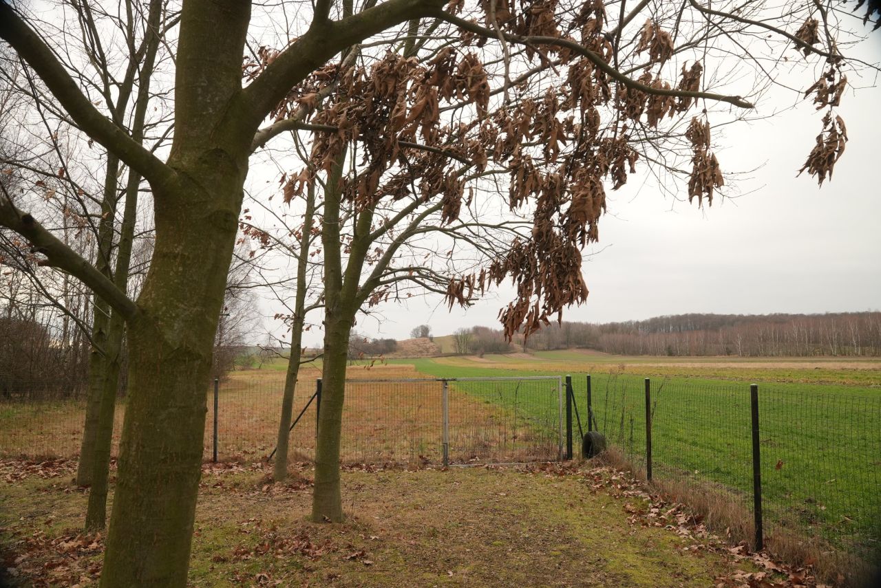 Działka budowlana Lgoczanka. Zdjęcie 17