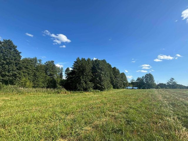 Działka rolno-budowlana Bienie. Zdjęcie 1