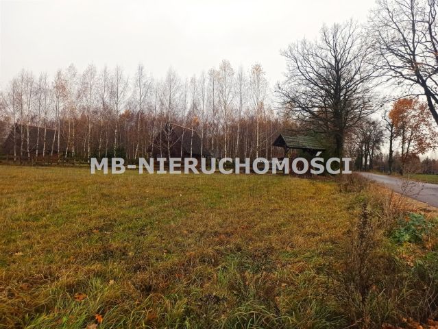 Działka rekreacyjna Skarpa. Zdjęcie 10