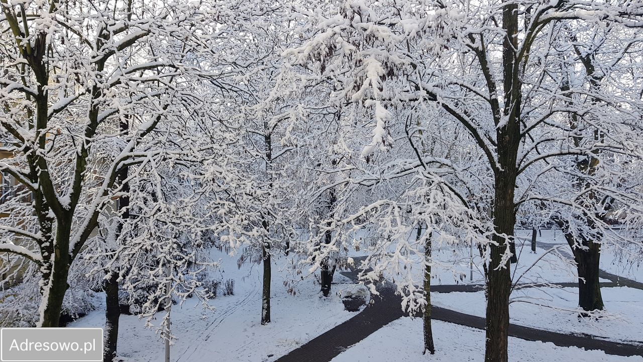 Mieszkanie 2-pokojowe Mielec, ul. Grunwaldzka. Zdjęcie 17
