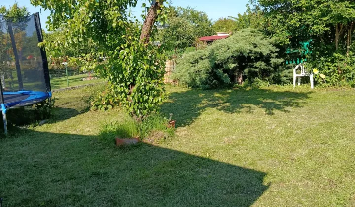 Działka rod Piła, ul. Koszalińska