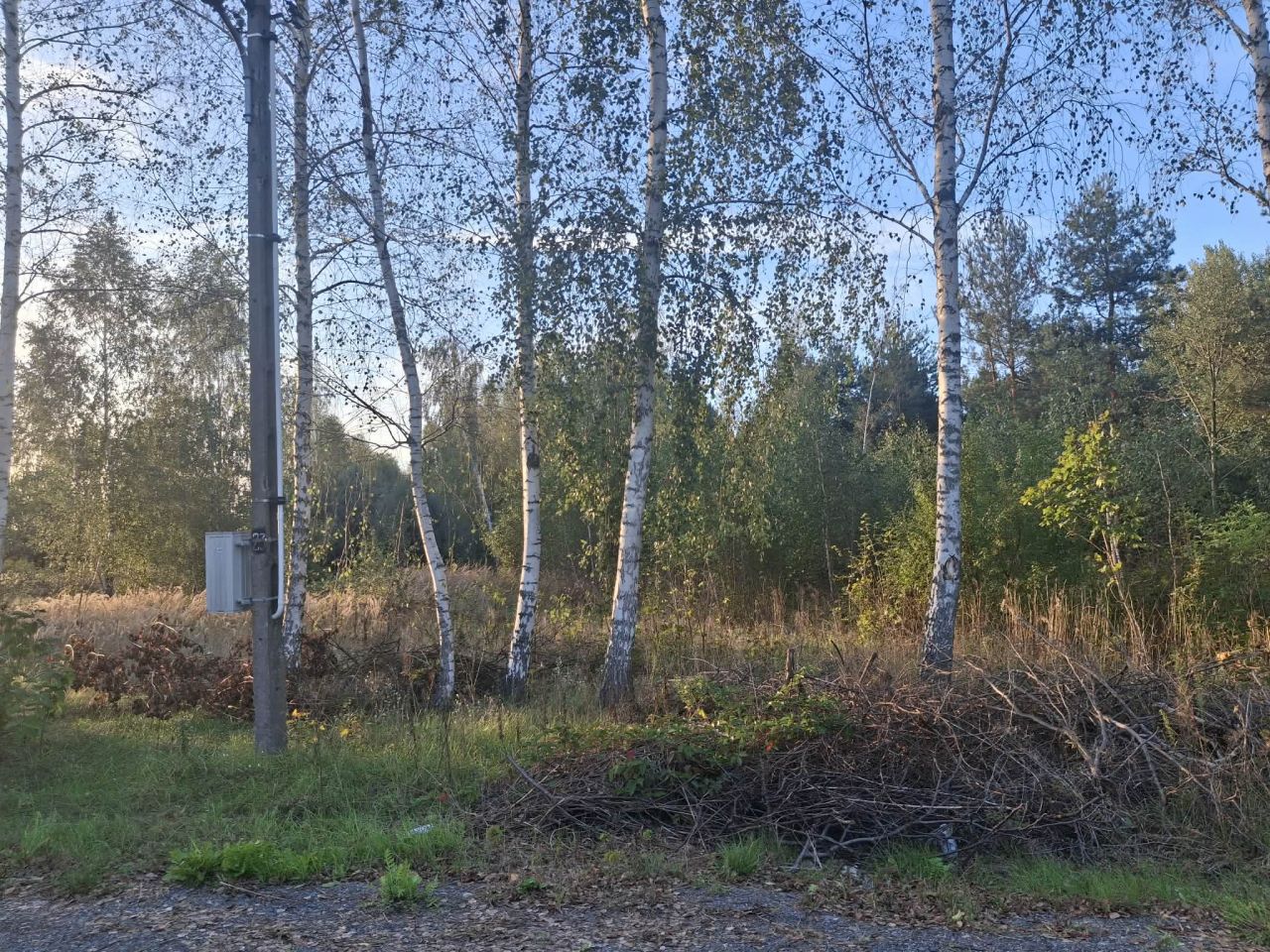 Działka rolno-budowlana Dębniak. Zdjęcie 7