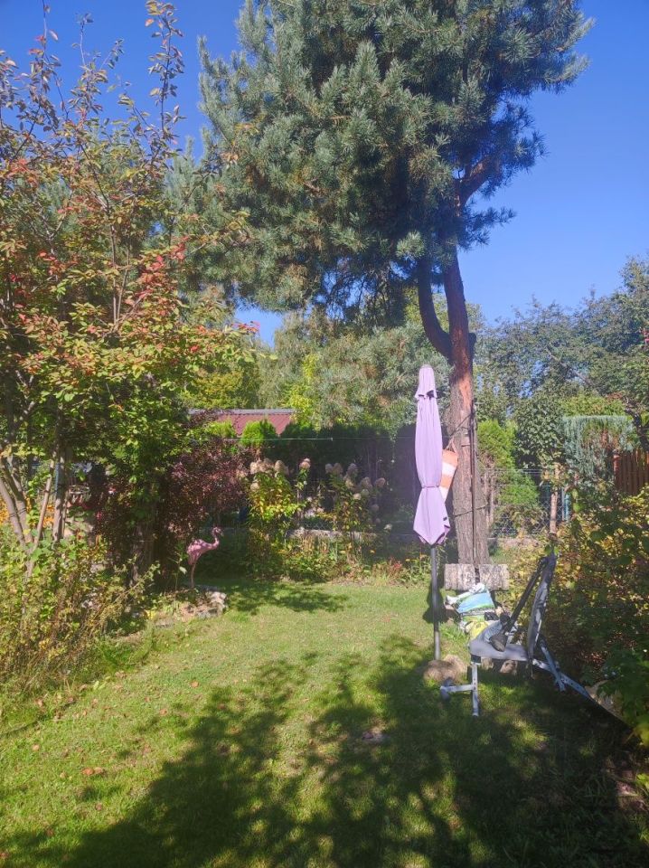 Działka rod Sosnowiec, al. Ignacego Paderewskiego. Zdjęcie 8