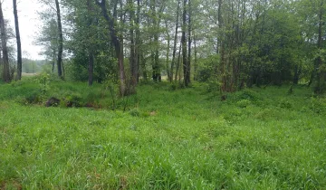 Działka na sprzedaż bez pośredników 
 
 Pogroszyn - Widok 5