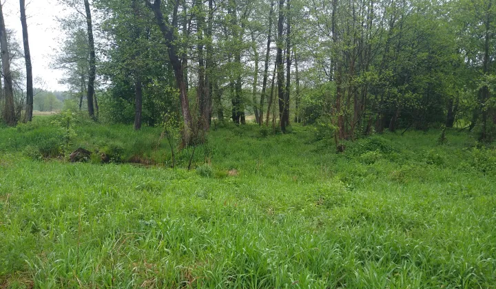 Działka rolna Odrzywół, ul. Praga