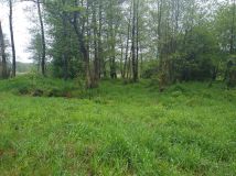 Działka rolna Odrzywół, ul. Praga