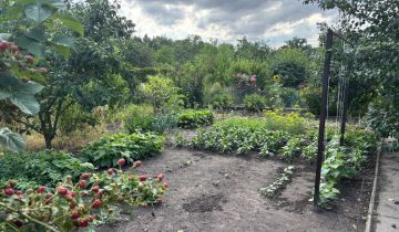 Działka rod Piotrków Trybunalski, ul. Wilcza