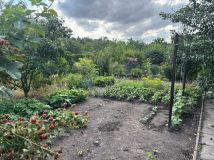 Działka rod Piotrków Trybunalski, ul. Wilcza. Zdjęcie 1