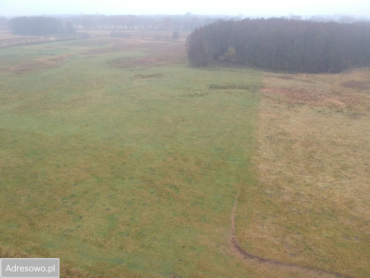 Działka rolna Ostrzyca. Zdjęcie 5