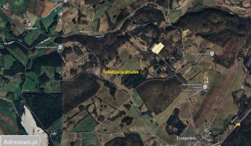 Działka budowlana Trzepowo, ul. Subisława