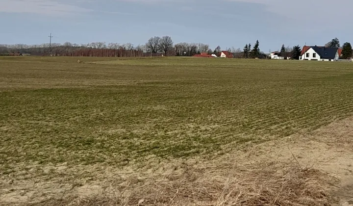 Działka siedliskowa Gniewino, ul. Słoneczna