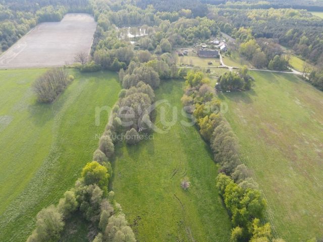Działka Ostrowina. Zdjęcie 3