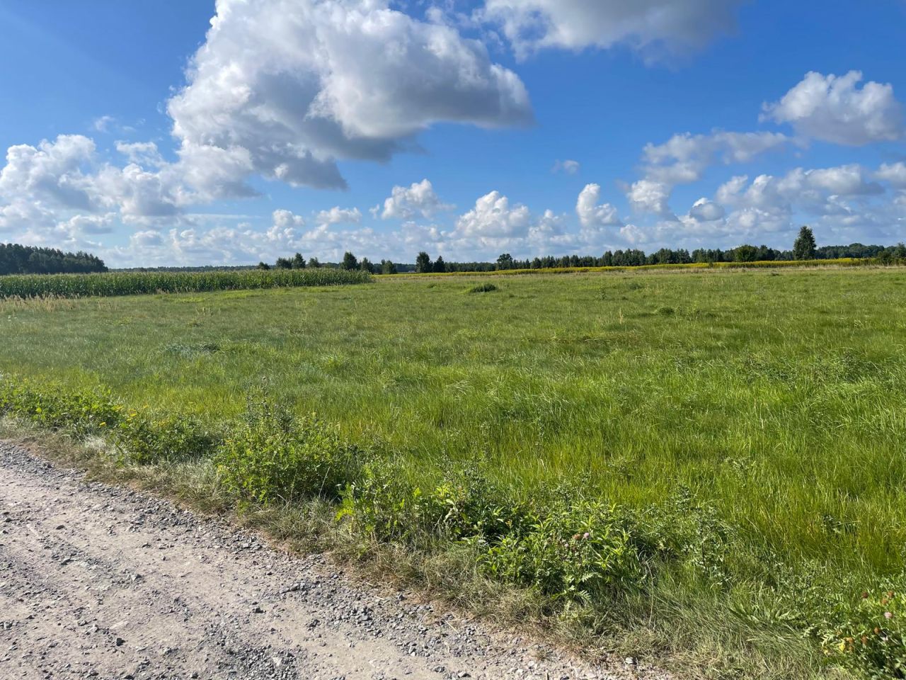 Działka budowlana Łąki. Zdjęcie 13