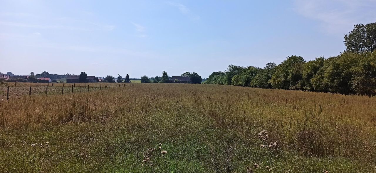 Działka budowlana Siemiatycze Annopol, ul. Stefana Żeromskiego. Zdjęcie 7