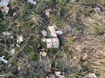 Działka budowlana Drzeniów. Zdjęcie 1