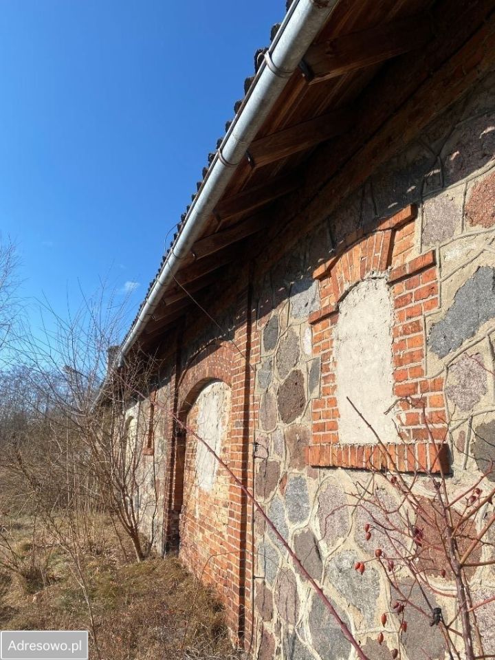 Hala/magazyn Kowalewice Włościańskie. Zdjęcie 13