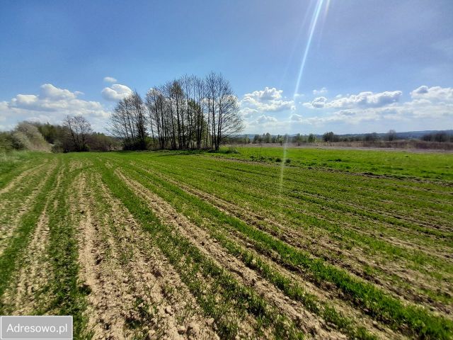 Działka budowlana Blizne. Zdjęcie 1