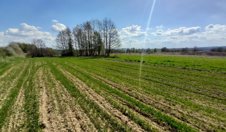 Działka budowlana Blizne