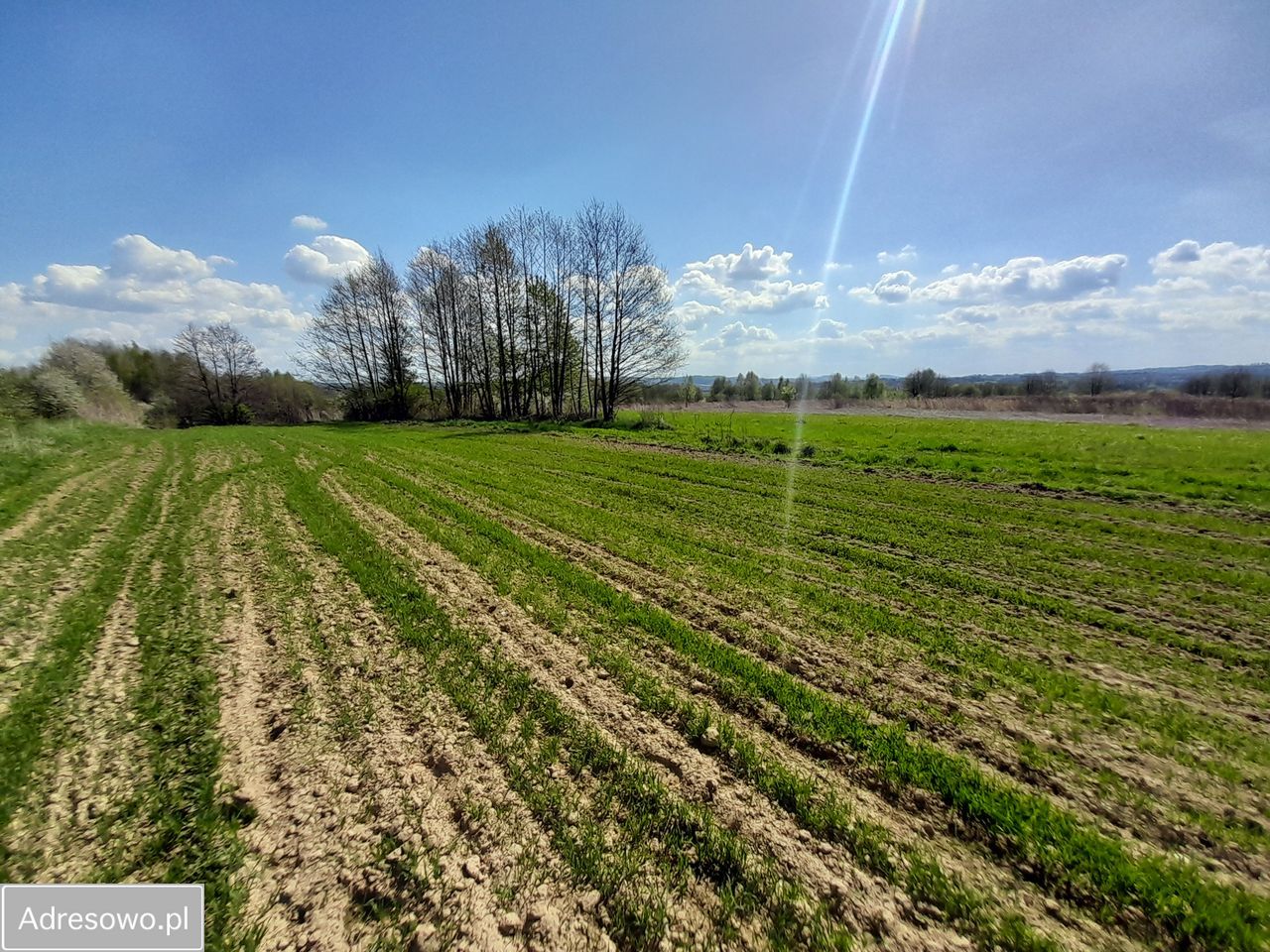 Działka budowlana Blizne