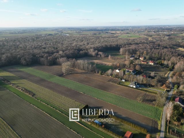 Działka rolna Motycz Leśny. Zdjęcie 2