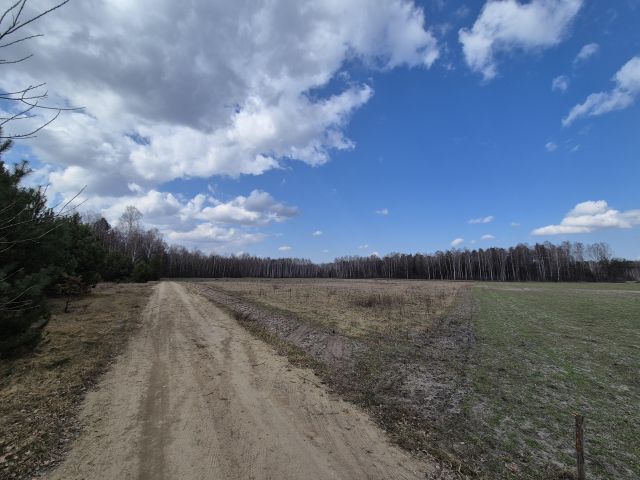 Działka rolno-budowlana Wola Polska. Zdjęcie 1