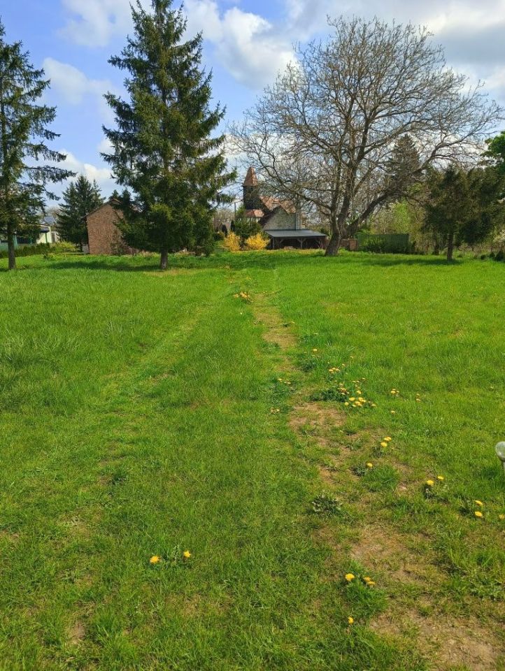 Działka rolno-budowlana Brzeźniak. Zdjęcie 7