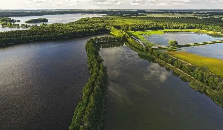 Działka rekreacyjna Wilkowo