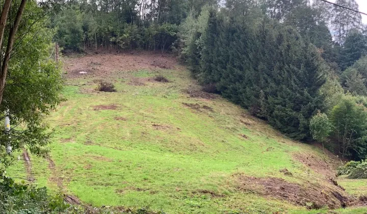 Działka budowlana Kudowa-Zdrój Pstrążna, ul. Pstrążna