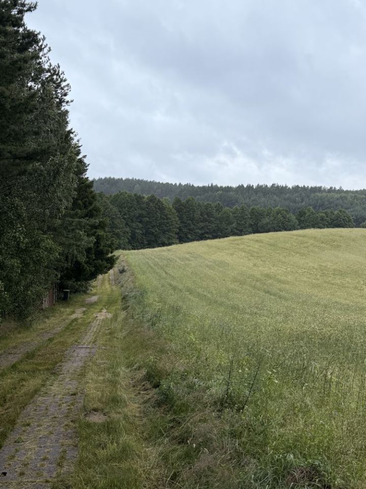 Działka budowlana Piechowice. Zdjęcie 5