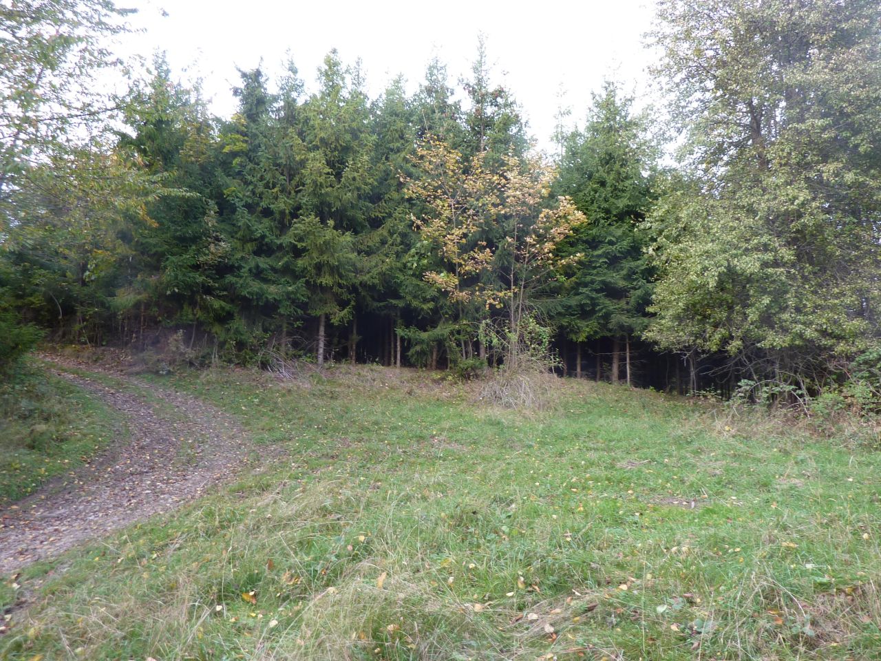 Działka rolna Pewel Wielka Garleje. Zdjęcie 10