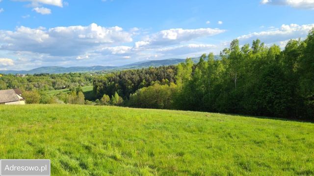 Działka rolno-budowlana Włosań. Zdjęcie 1