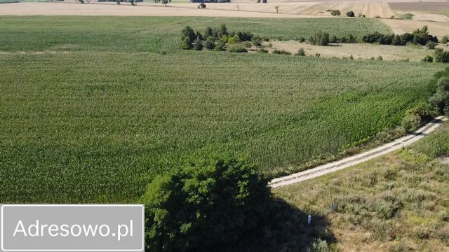 Działka rolno-budowlana Trzebaw. Zdjęcie 3