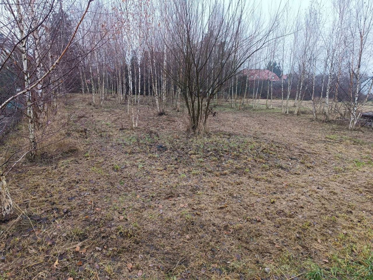 Działka budowlana Święta Katarzyna, ul. Morelowa