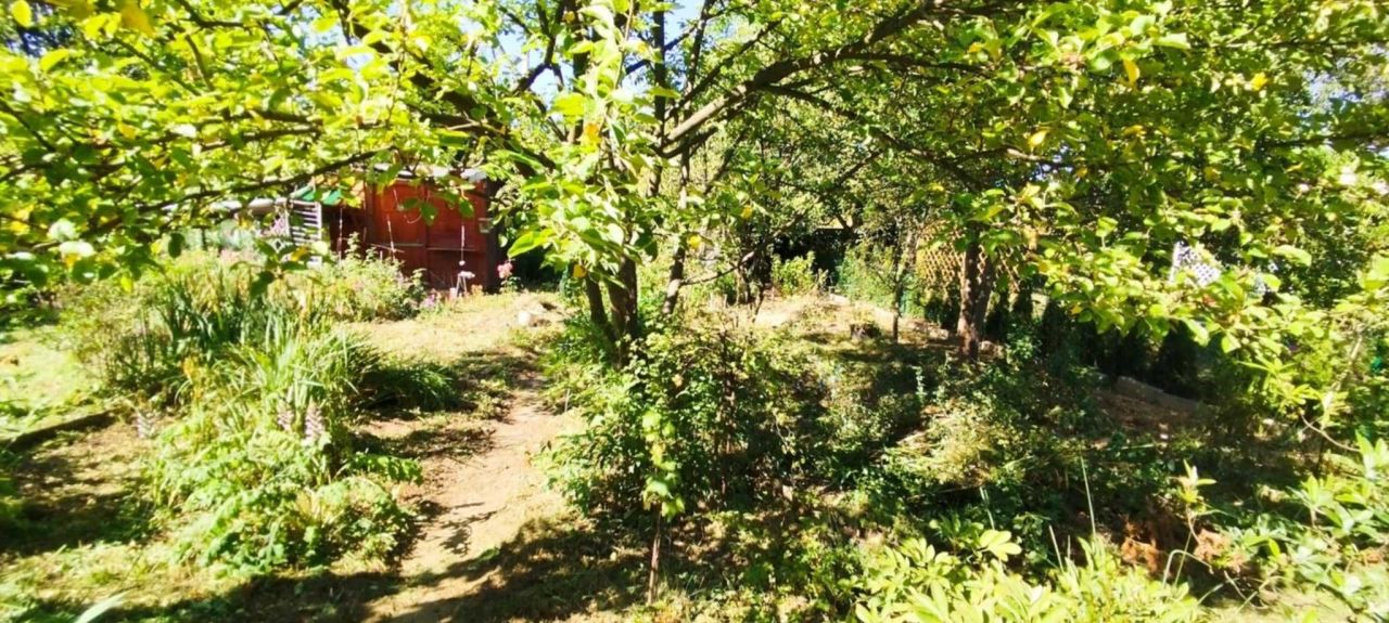 Działka rod Kraków Podgórze, ul. Golikówka. Zdjęcie 8