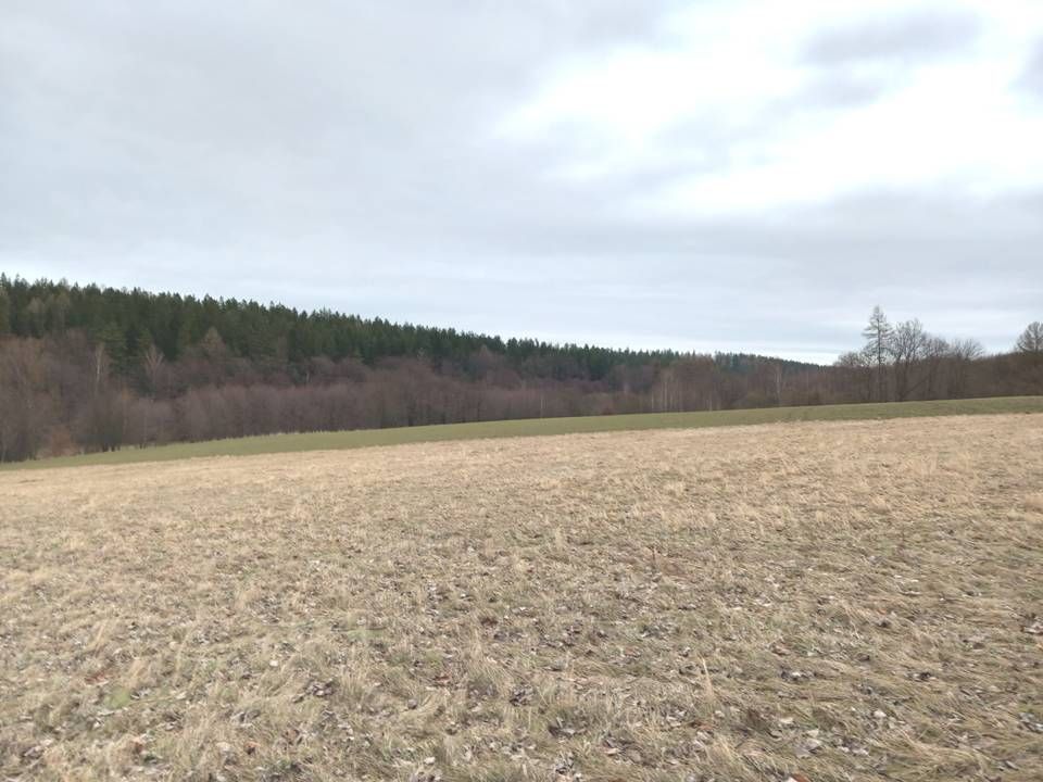 Działka budowlana Starkówek. Zdjęcie 7