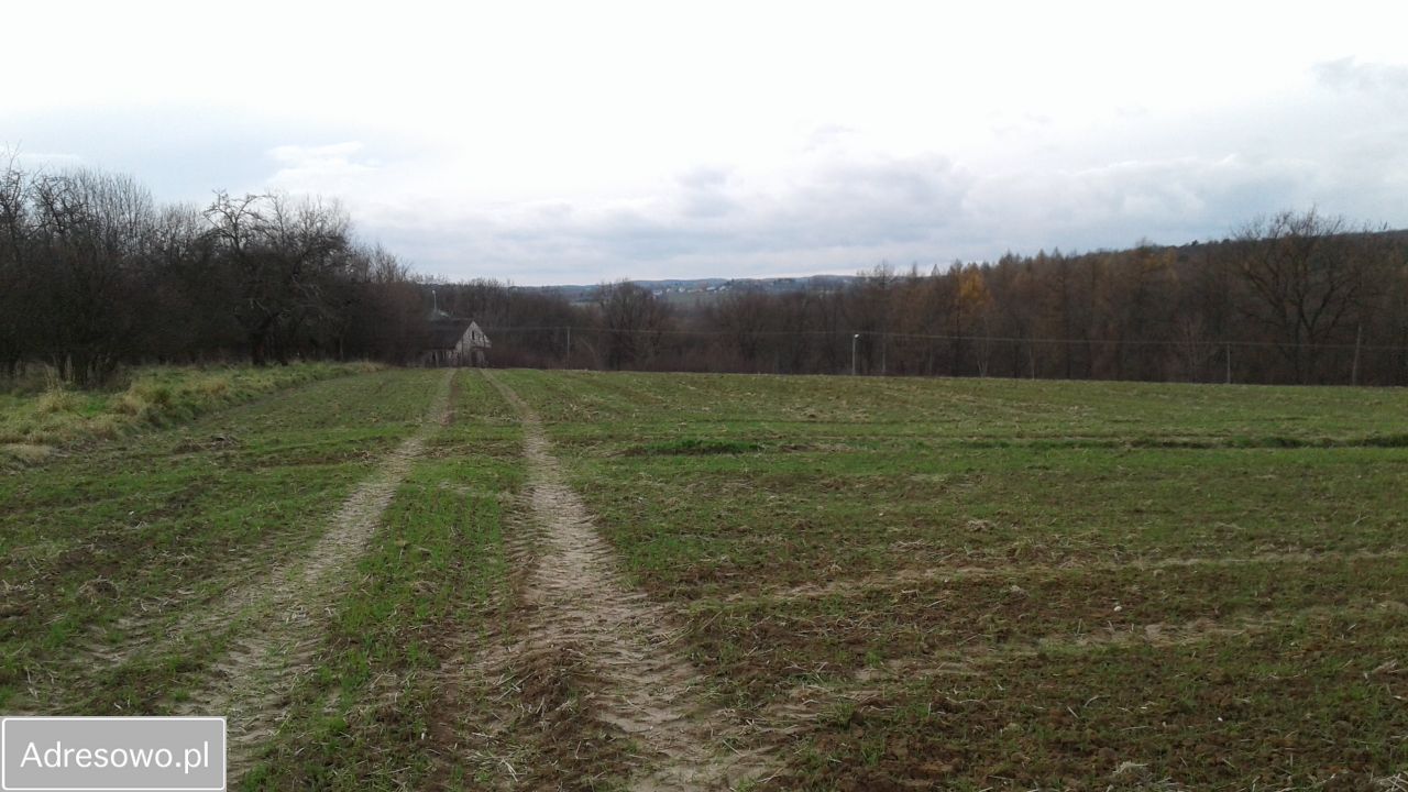 Działka siedliskowa Narama, ul. Centralna