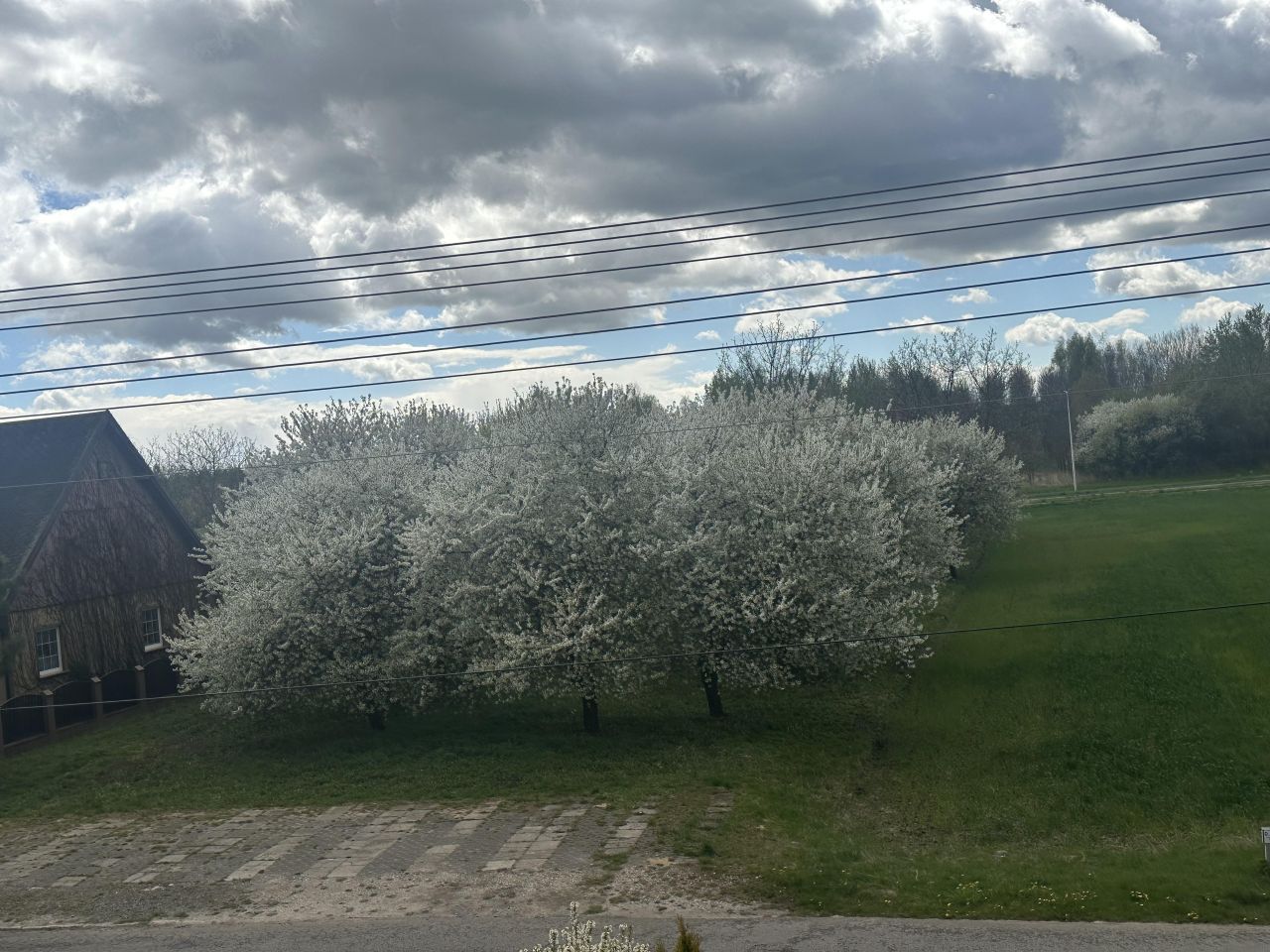 Działka budowlana Dęblin Michalinów, ul. Kwiatowa. Zdjęcie 9