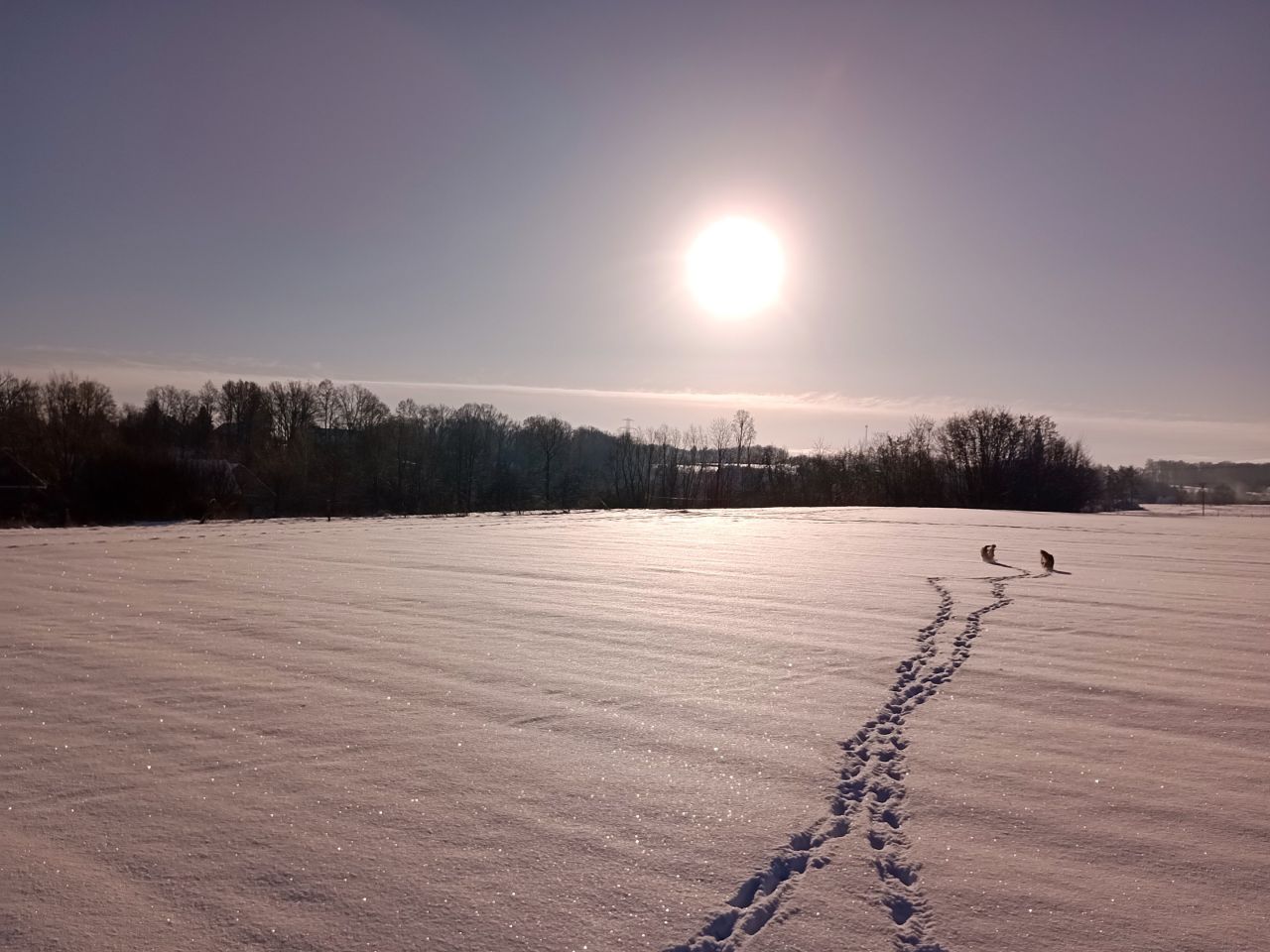 dom wolnostojący, 8 pokoi Radostów Średni, Radostów Średni. Zdjęcie 40