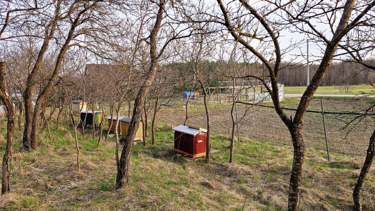 Działka Giętkie. Zdjęcie 7