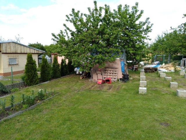 Działka rod Żary. Zdjęcie 1