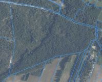 Działka leśna Kąty-Wielgi. Zdjęcie 1