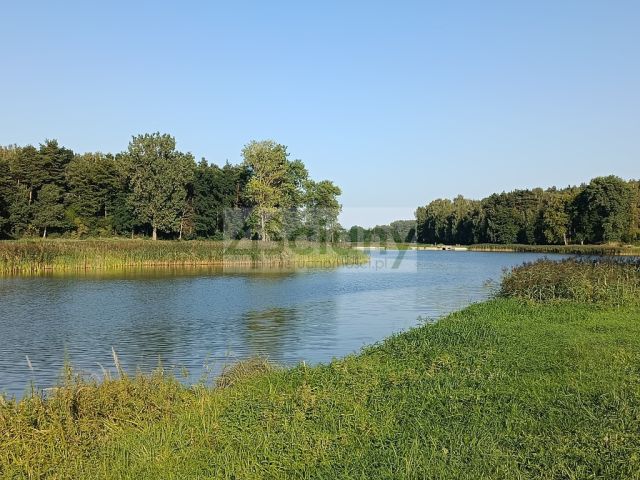 Działka siedliskowa Osuchów. Zdjęcie 1