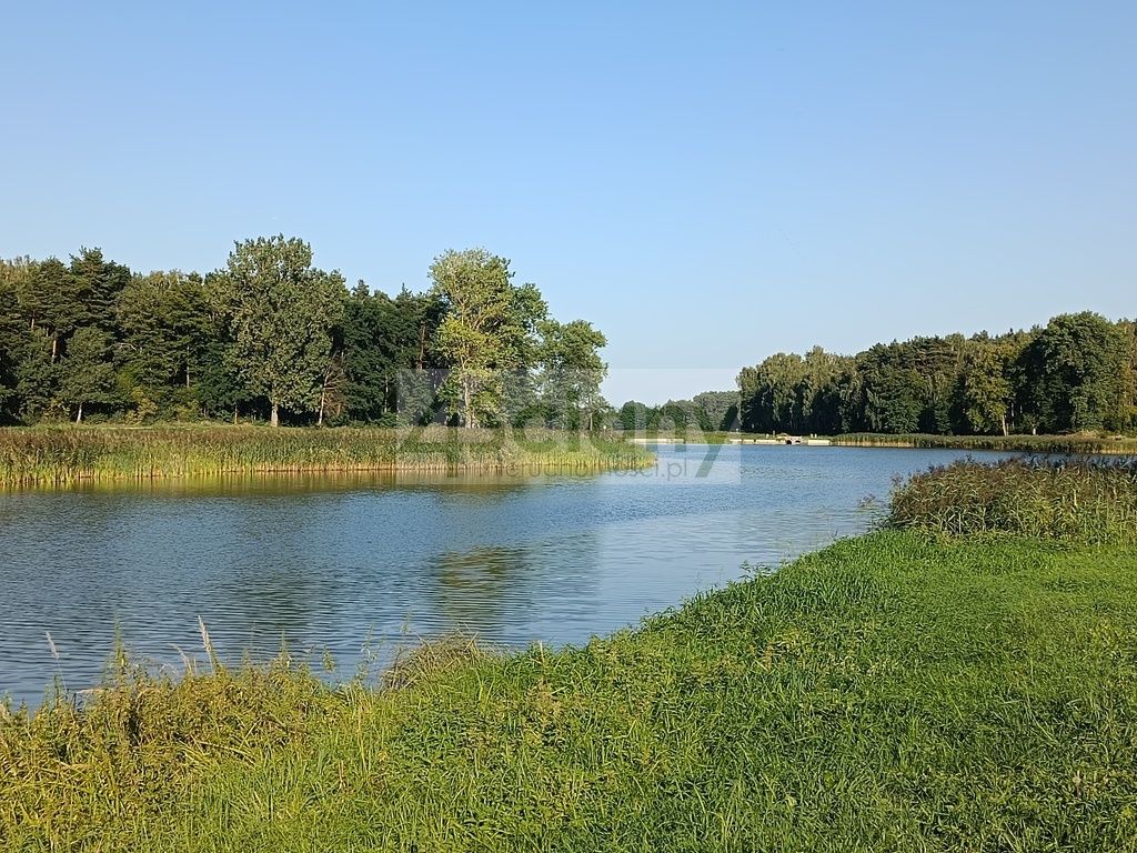 Działka siedliskowa Osuchów