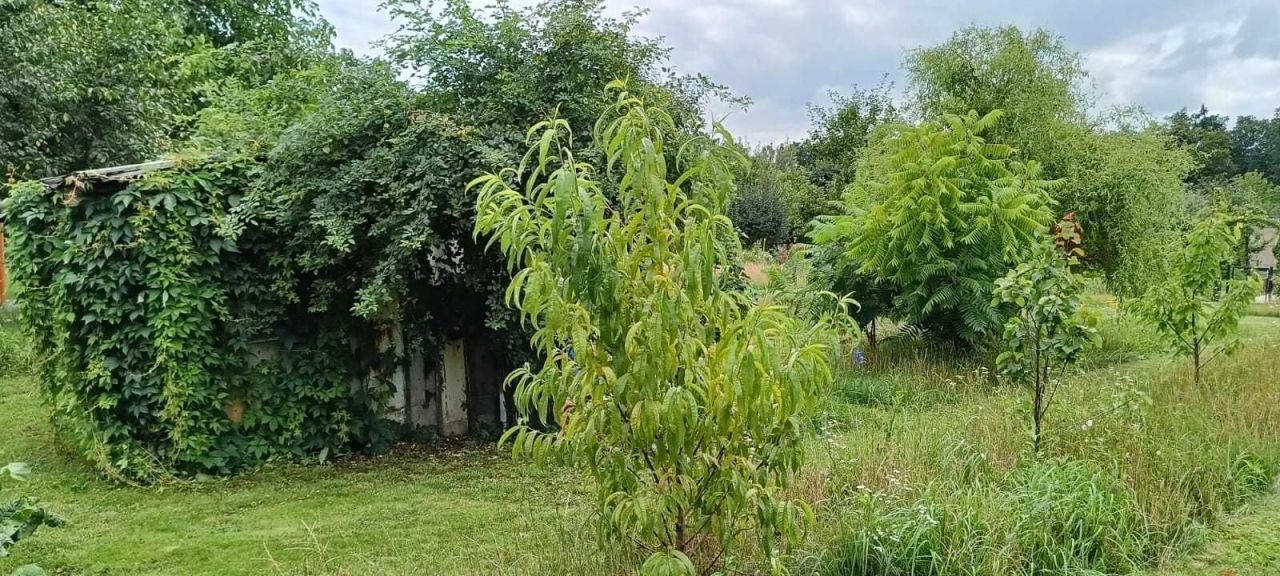 Działka rod Malbork, ul. Sportowa. Zdjęcie 11