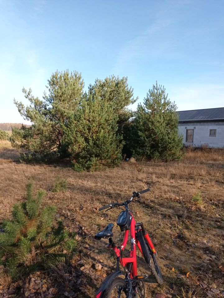 Działka budowlana Czosnówka, ul. Olchowa. Zdjęcie 13