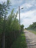 Działka budowlana Gliwice Łabędy, ul. Wspólna. Zdjęcie 1