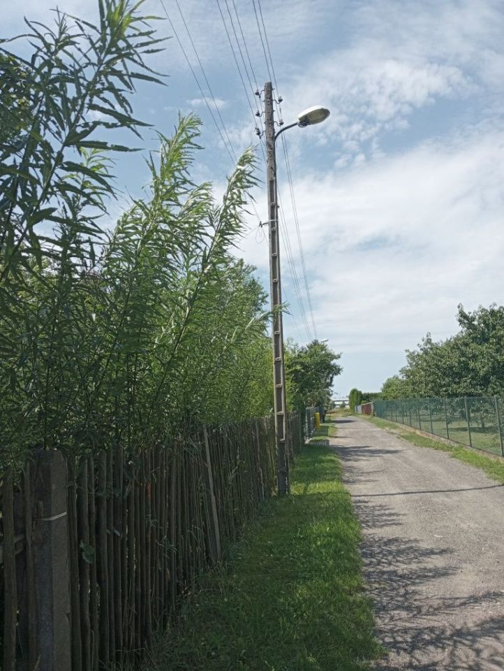 Działka budowlana Gliwice Łabędy, ul. Wspólna. Zdjęcie 2